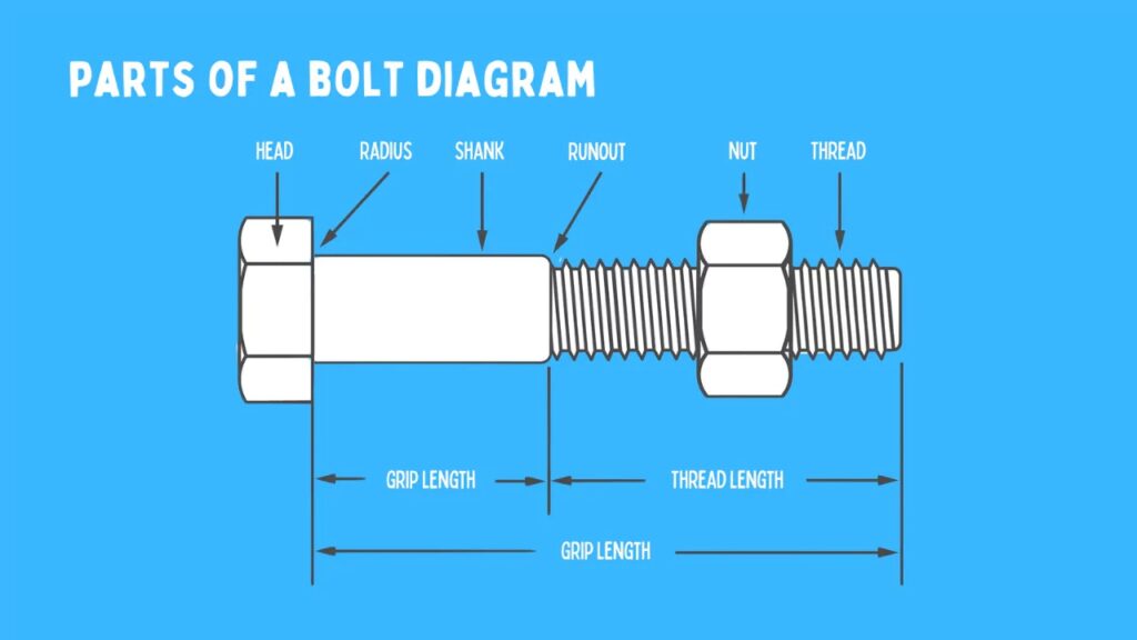 a labeled diagram of a bolt showing head, threads, and shank.